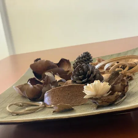 Appartement Buganvilia Holidays