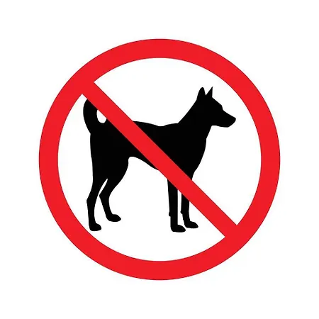 Buganvilia Holidays *